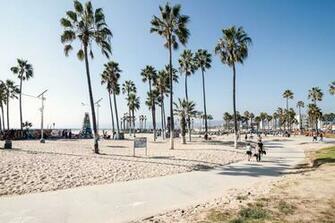 Venice Beach Wallpaper Pictures Image