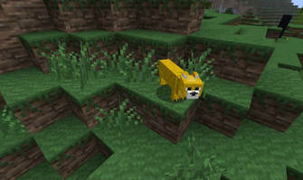 Minecraft Ocelot Face I Also Made An