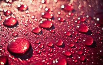 Water Drop Wallpaper Dew Drops HD Desktop
