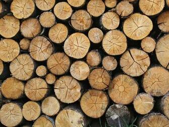 Logs Texture Wallpaper iPhone Android Desktop Background