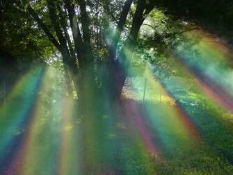 Willow Tree Rainbow By Mrl33t