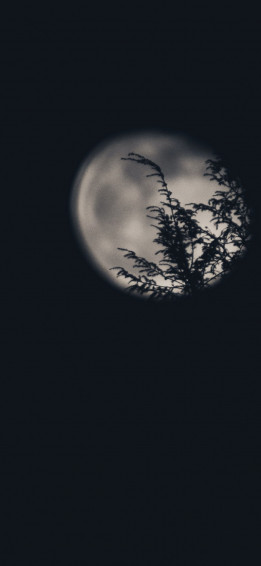 iPhone Moon Wallpaper