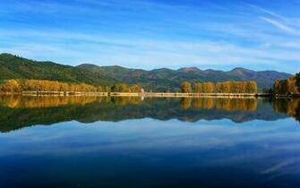 Tree Line Reflection Desktop Pc And Mac Wallpaper