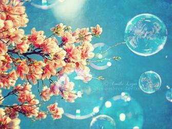 Spring WallpaperHD Wallpaper