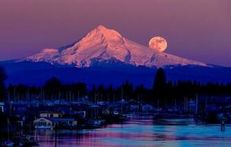 Usa Oregon Mount Hood Stratovolcano Village Forest Trees