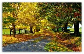 Autumn Season High Definition Wallpaper Beautiful Big Quoteko