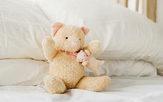Teddy Bear Wallpaper HD Pictures One