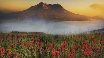 Misty Mountain Wallpaper