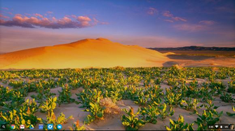 Get Beautiful New Wallpaper On Your Chromebook