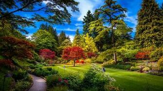 Colorful Park Spring Nature HD Wallpaper Stream