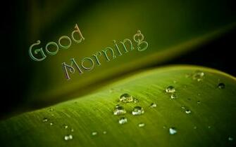 Lovely And Beautiful Good Morning Wallpaper Allfreshwallpaper
