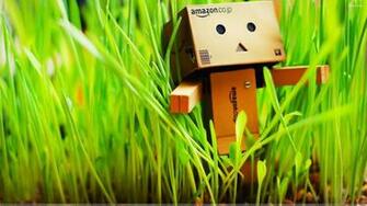 Gadget Ogling Amazon On Fire Virtual Reality True Nature And
