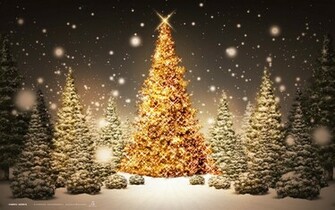 Christmas Trees Wallpaper Beautiful
