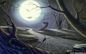 Spider Wallpaper Poisonous And Deadly