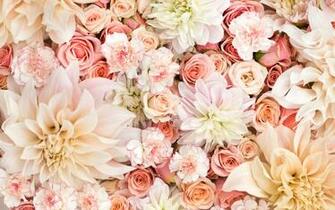Image About Wallpaper