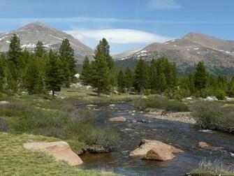 High Country Mountain Stream Iii