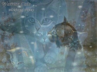 Warrior Cats Background