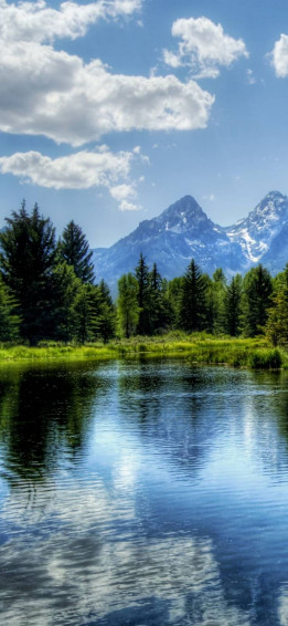 Forest Lake iPhone Wallpaper
