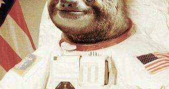 Slothstronaut Random Sloths Make Me Smile And