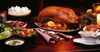 Celebrate Thanksgiving With A Warm And Cozy Turkey