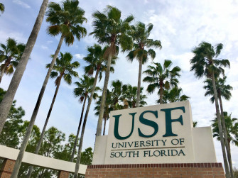 University Of South Florida Wallpaper