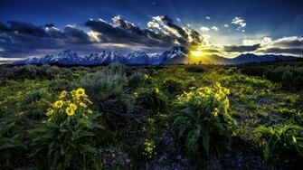 Rocky Mountains Grand Teton National Park Wyoming Mountain