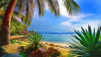 Beautiful HD Wallpaper Image In Collection