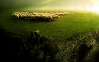 Sheep Wallpaper