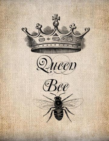 Queen Bee Wallpaper Top Background