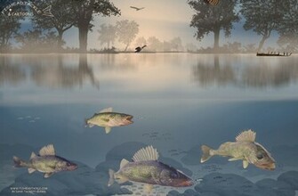 Walleye Wallpaper Goose