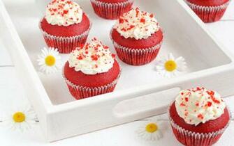 Cupcake Wallpaper HD Background Desktop