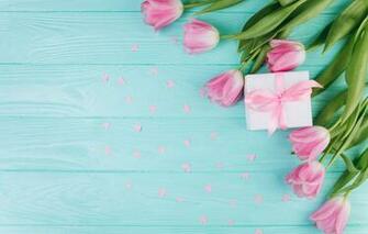 Wallpaper Love Flowers Gift Hearts Tulips Pink Fresh