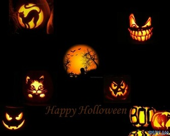 Daily Cool Pictures Gallery Halloween Wallpaper