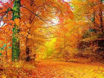 Author Ankit Categories Wallpaper Pictures Tags Autumn