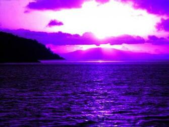 Purple Sunset
