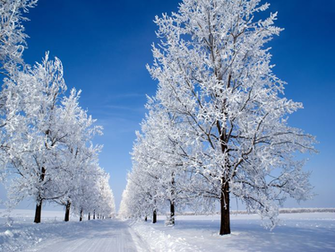 Country Lane Winter Snow Wallpaper Persian Gulf Lost Civilization