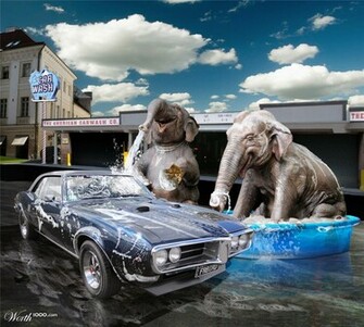 Elephant Car Wash Wallpaper Desktop S