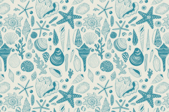 Sea Shells Wallpaper