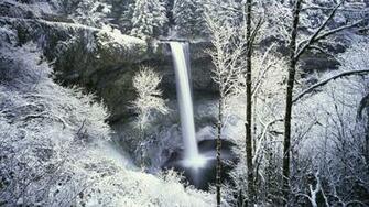 Snowy Forest Wallpaper