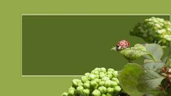 Wincustomize Wallpaper