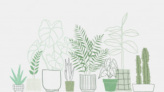 Plant Aesthetic Plain Wallpaper