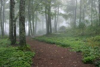 Southern Highlands Reserve Toxaway North Carolina Usa Desktop
