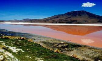 Laguna Colorada Bolivia Photo HD