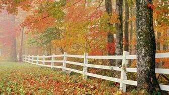 Romantic Nature Wallpaper Full HD