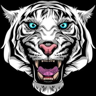 Am Wildcat