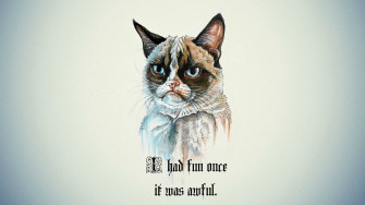 Funny Meme Wallpaper