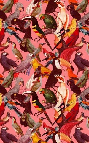 Cool Maximalist Wallpaper Ideas Lavish