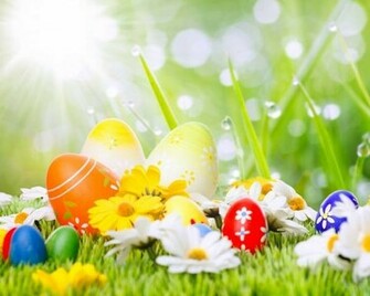 Cute And Funny Easter Wallpaper Ginva