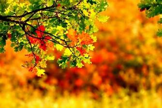September Wallpaper High Quality