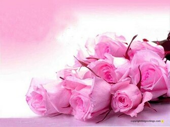 Wallpaper Funny Love Desktop